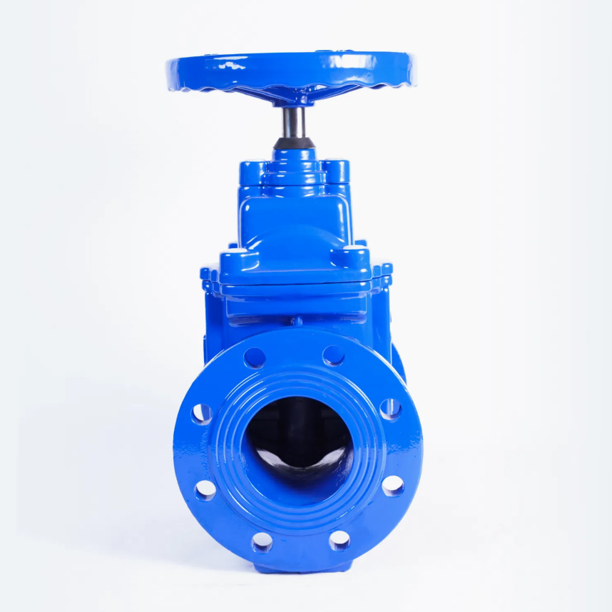 HaiHong Stainless Steel Sealed Gate Valve for Industrial Pipelines