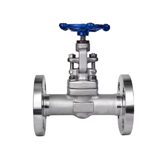 Stainless Steel Manual Gate Valve 150LB for High Temperature Media