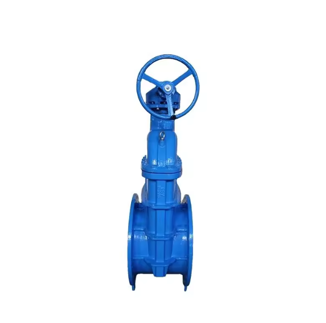 DN200 Ductile Iron Soft Seated Flanged Gate Valve for Water Supply