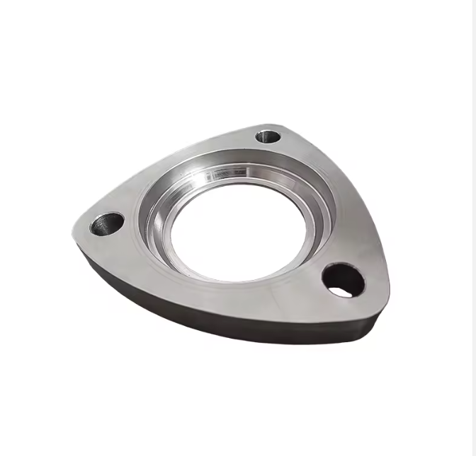 China Factory Forged Carbon & Stainless Steel Plate Flange OEM Service