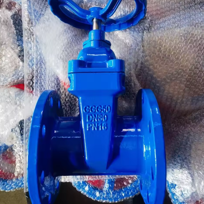 DN200 Ductile Iron Soft Seated Flanged Gate Valve for Water Supply