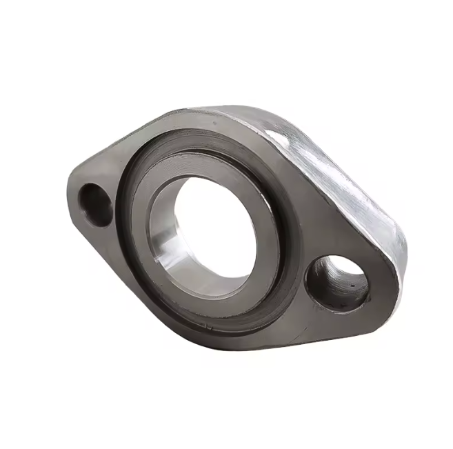 China Factory Forged Carbon & Stainless Steel Plate Flange OEM Service