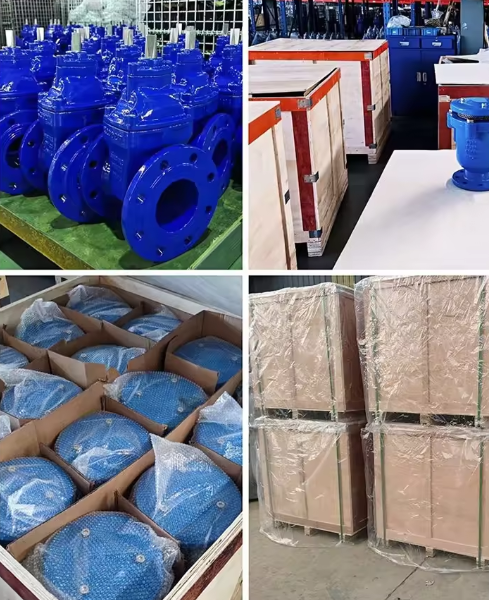 DN200 Ductile Iron Soft Seated Flanged Gate Valve for Water Supply