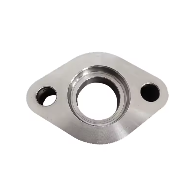 China Factory Forged Carbon & Stainless Steel Plate Flange OEM Service