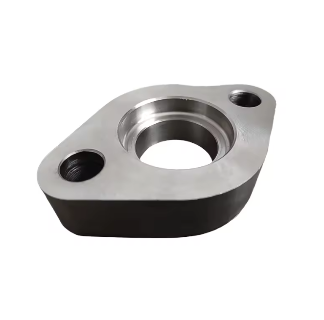 China Factory Forged Carbon & Stainless Steel Plate Flange OEM Service