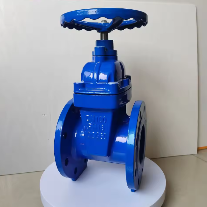 DN200 Ductile Iron Soft Seated Flanged Gate Valve for Water Supply